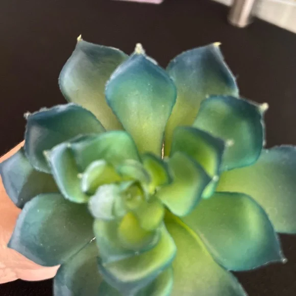 Williams Sonoma Faux Florals Green and Blue Accents SET (5) NWT - Picture 7 of 9